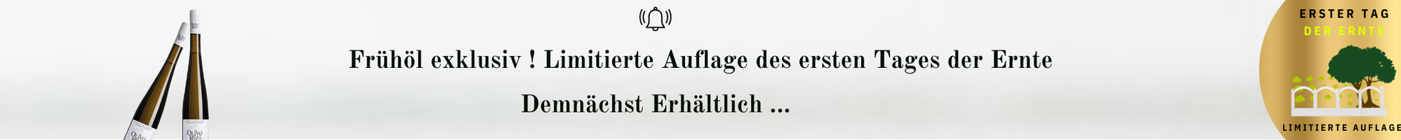 Olivo Real Erster Tag der Ernte 1